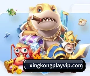 星空体育app下载的故事